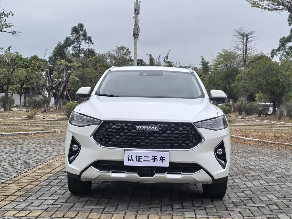 HAVAL F7X