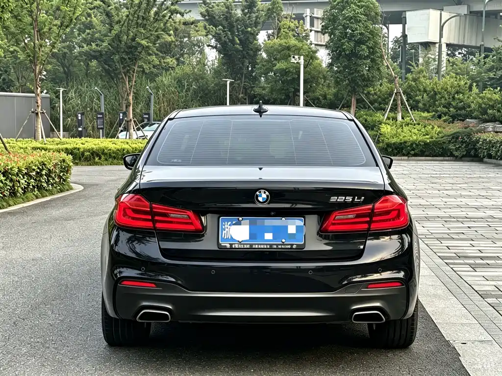 BMW 5 Series 5 2019 525Li M Sport