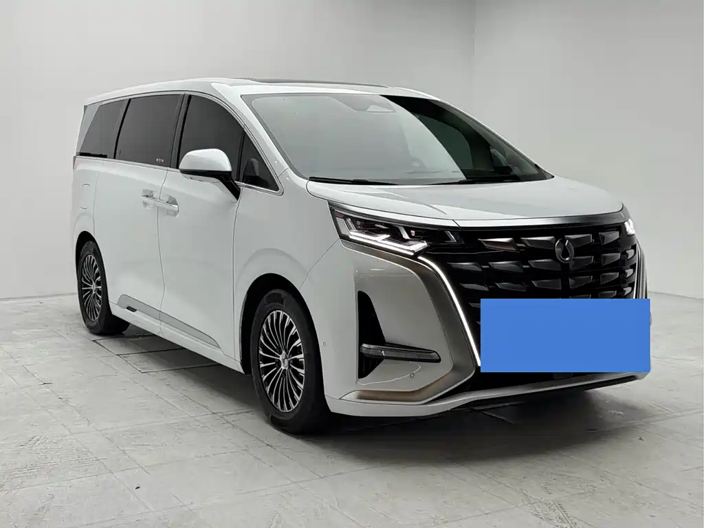 Denza Denza D9 — миниатюра 3