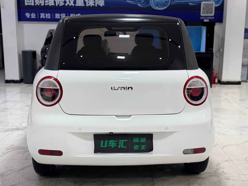 Qiyuan Lumin — миниатюра 8