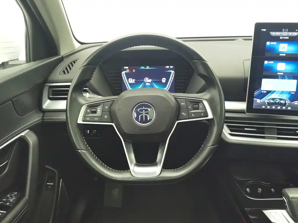 BYD Pro — миниатюра 11
