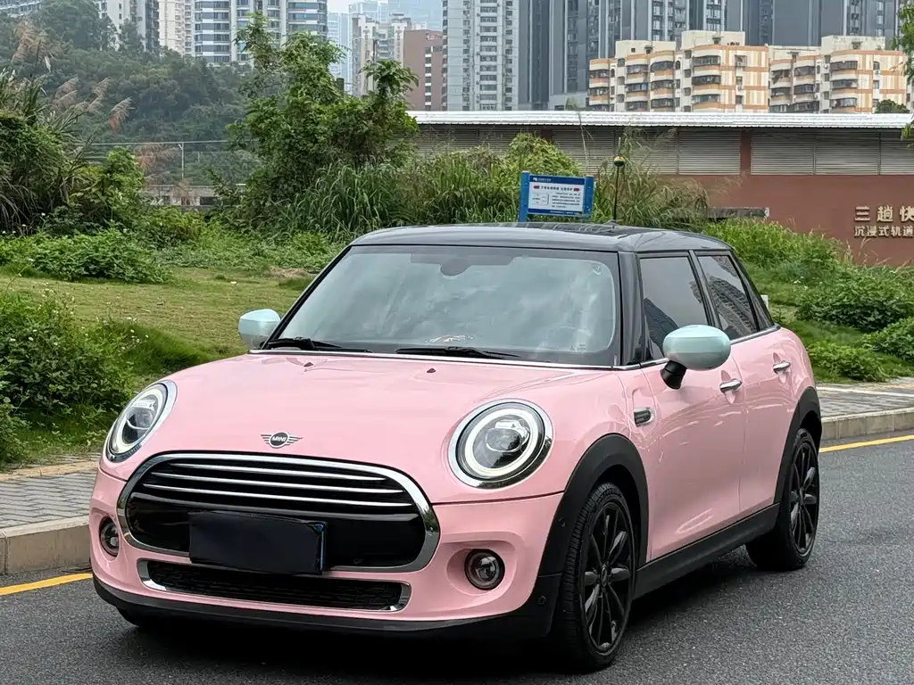 Mini Mini 2020
