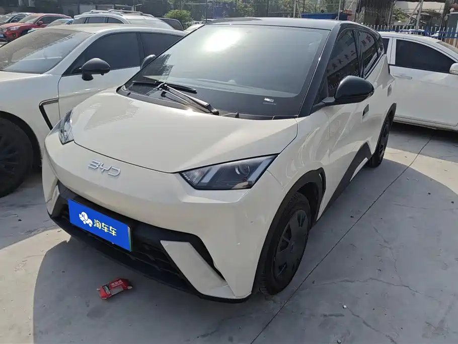 Byd Seagull 2025