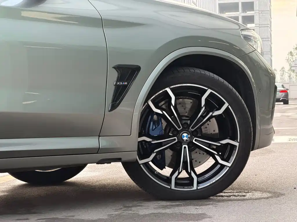 BMW X3 M — миниатюра 33
