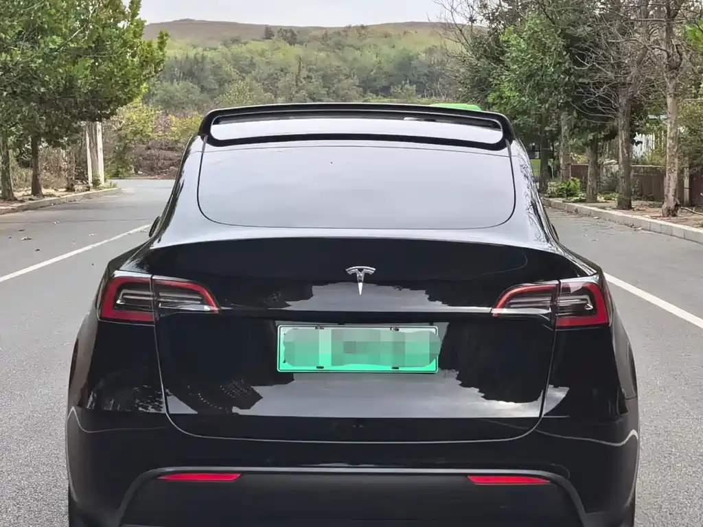 Tesla Model Y — миниатюра 5