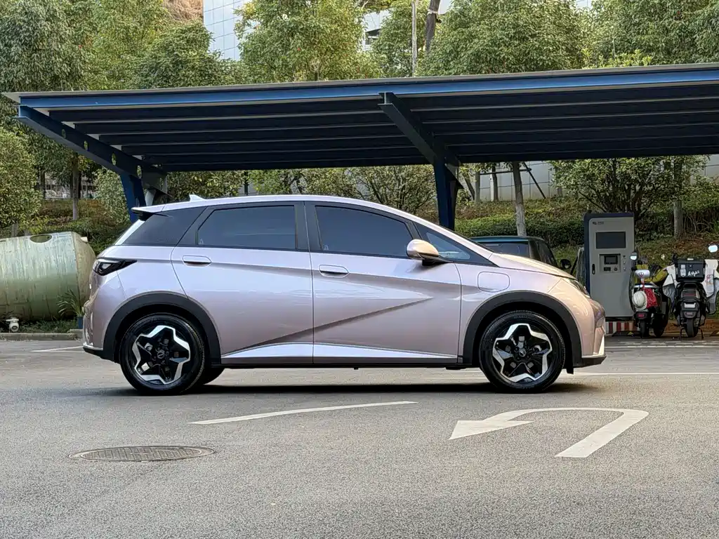 BYD Dolphin — миниатюра 15