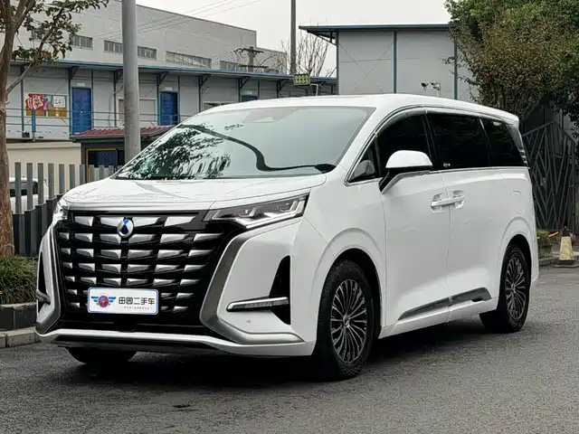 Denza D9
