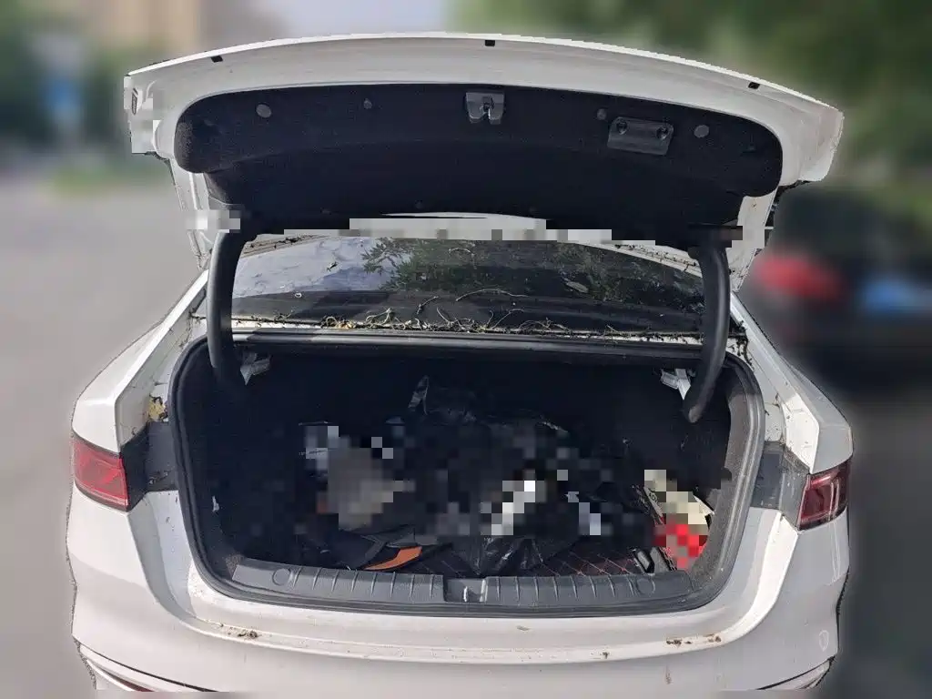 BYD Qin PLUS — миниатюра 20
