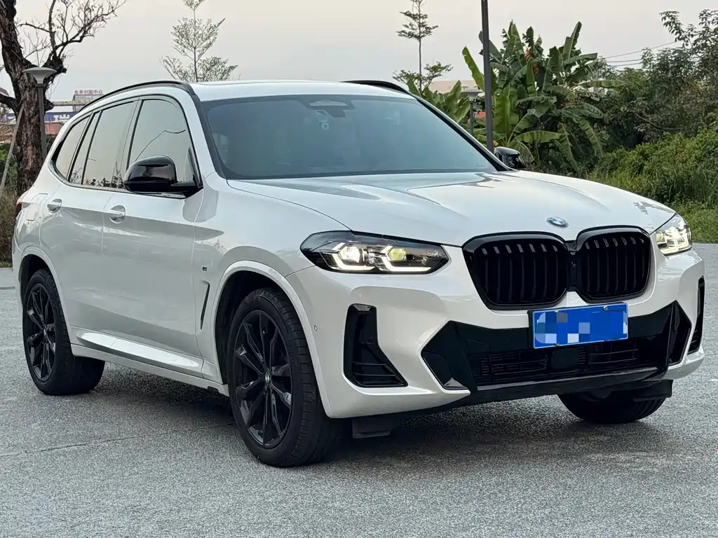 BMW X3 — миниатюра 3