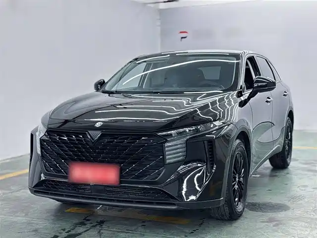 QICHEN  BIG V 2023