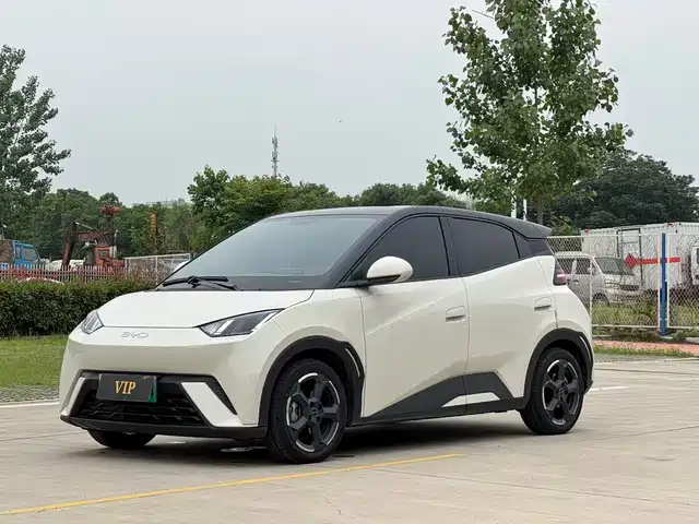 2024 BYD Seagull