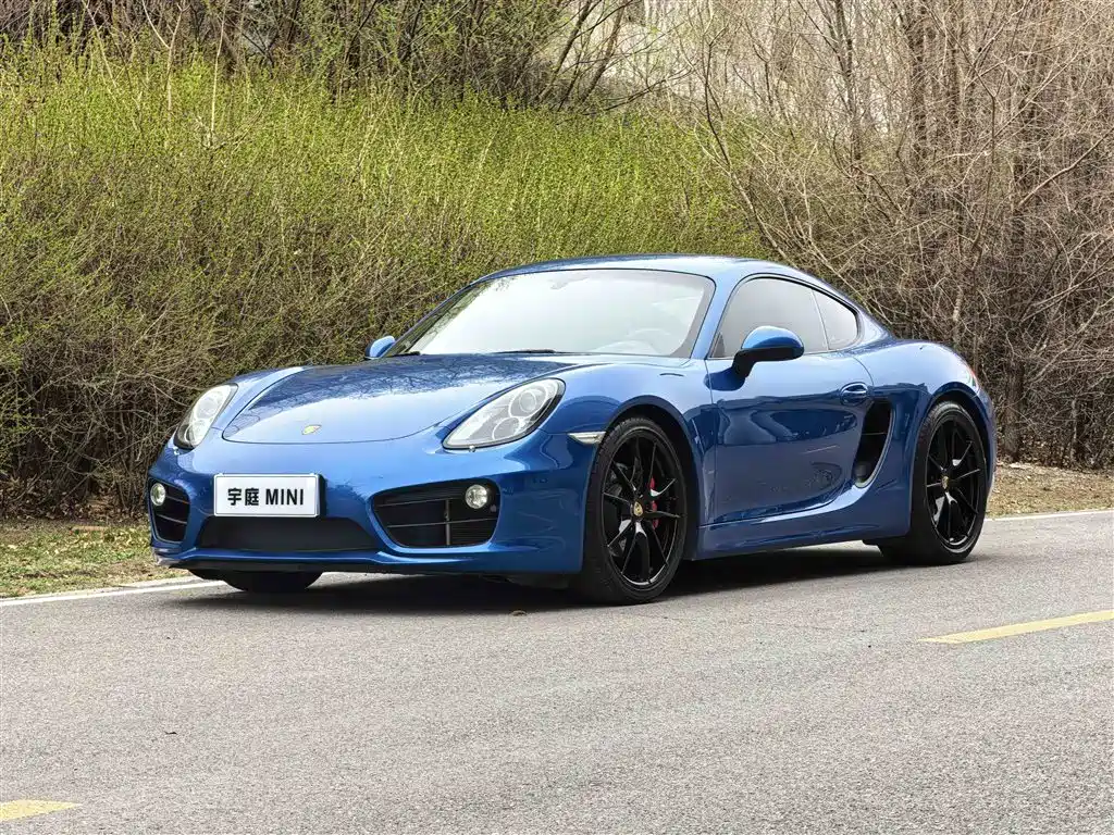 Porsche Cayman 2014