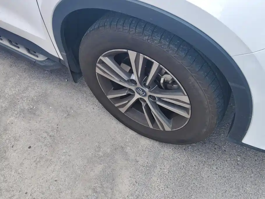 BYD Pro — миниатюра 6