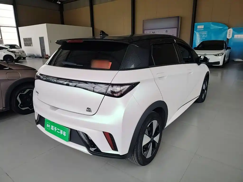 BYD Dolphin — миниатюра 7