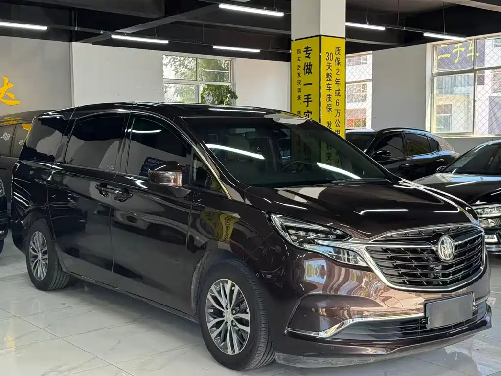 Buick GL8 — миниатюра 3