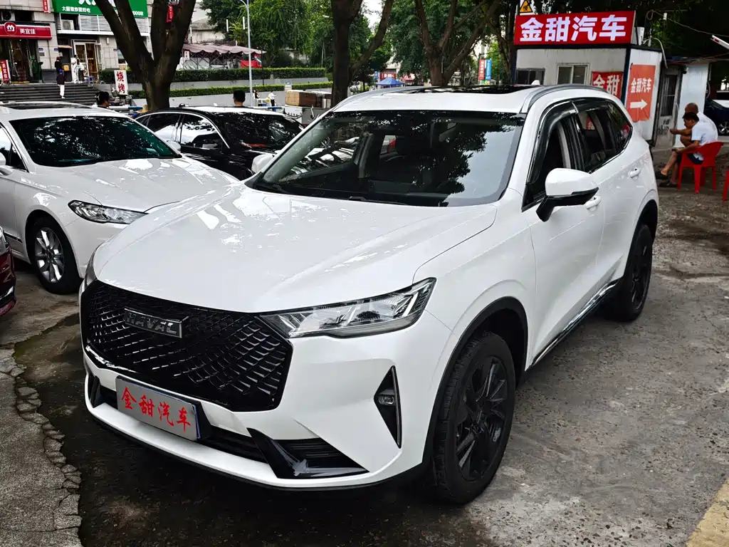 Haval H6 — миниатюра 3