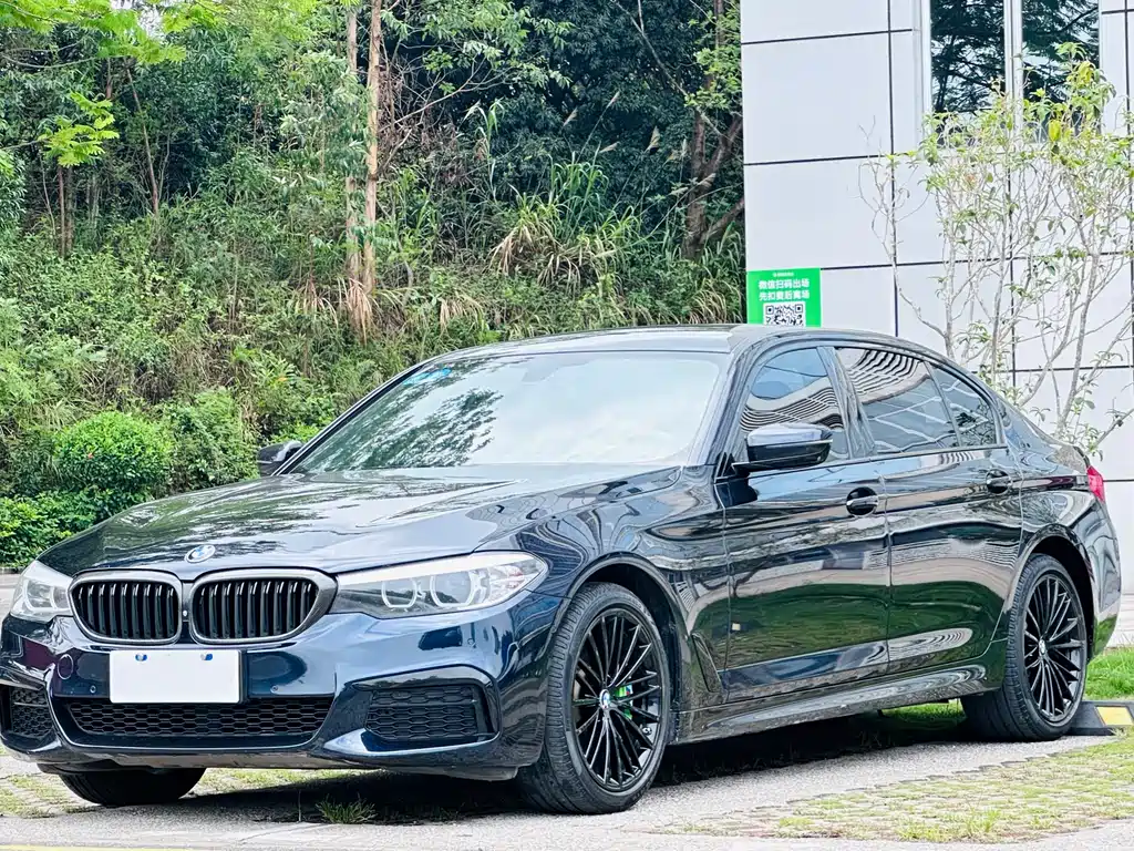 BMW 5 Series 2019