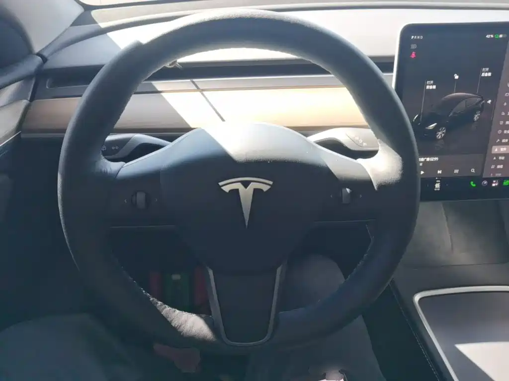 Tesla Model Y — миниатюра 11