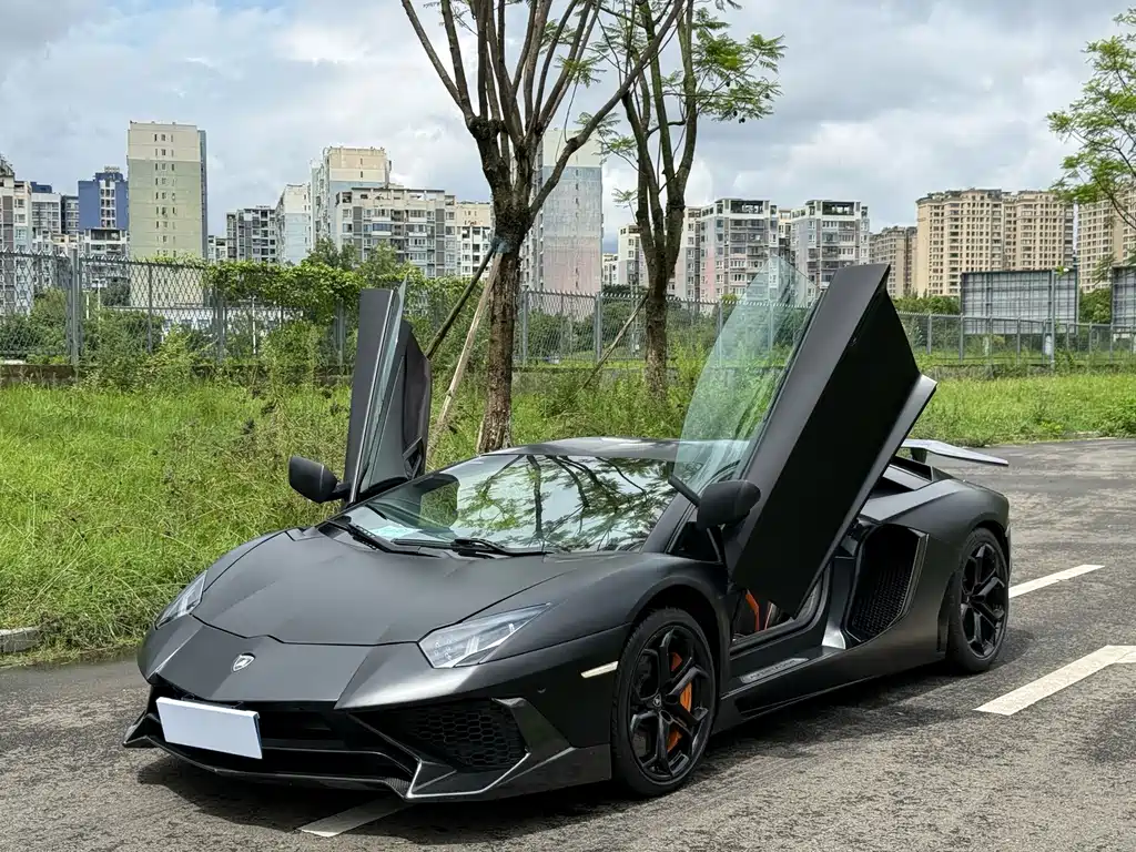 Lamborghini Aventador — миниатюра 9