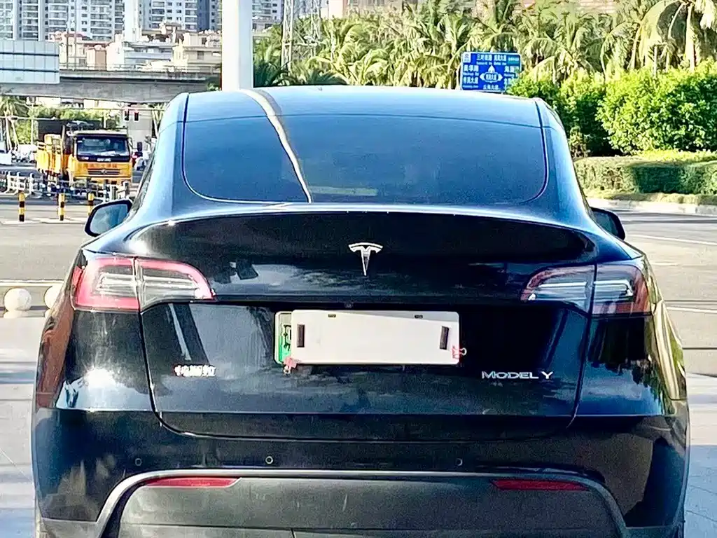 Tesla Model Y — миниатюра 8