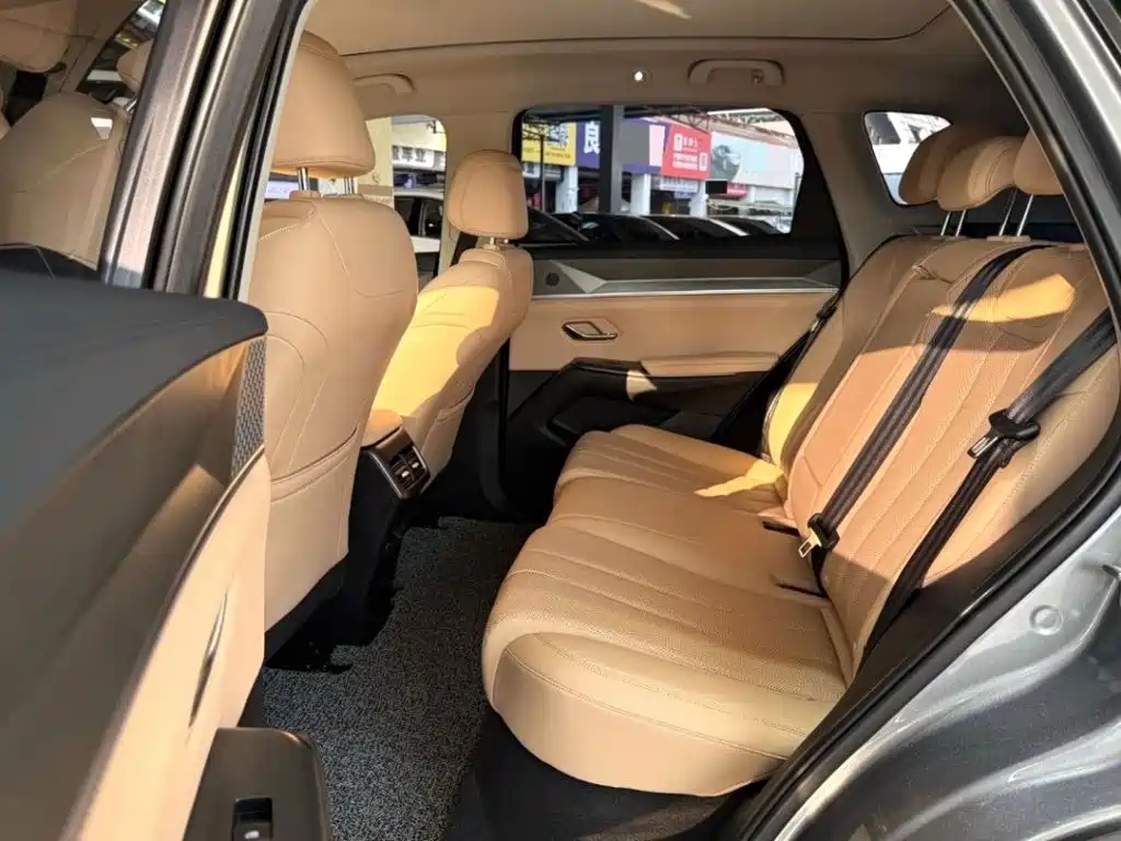 BYD Pro New Energy — миниатюра 4