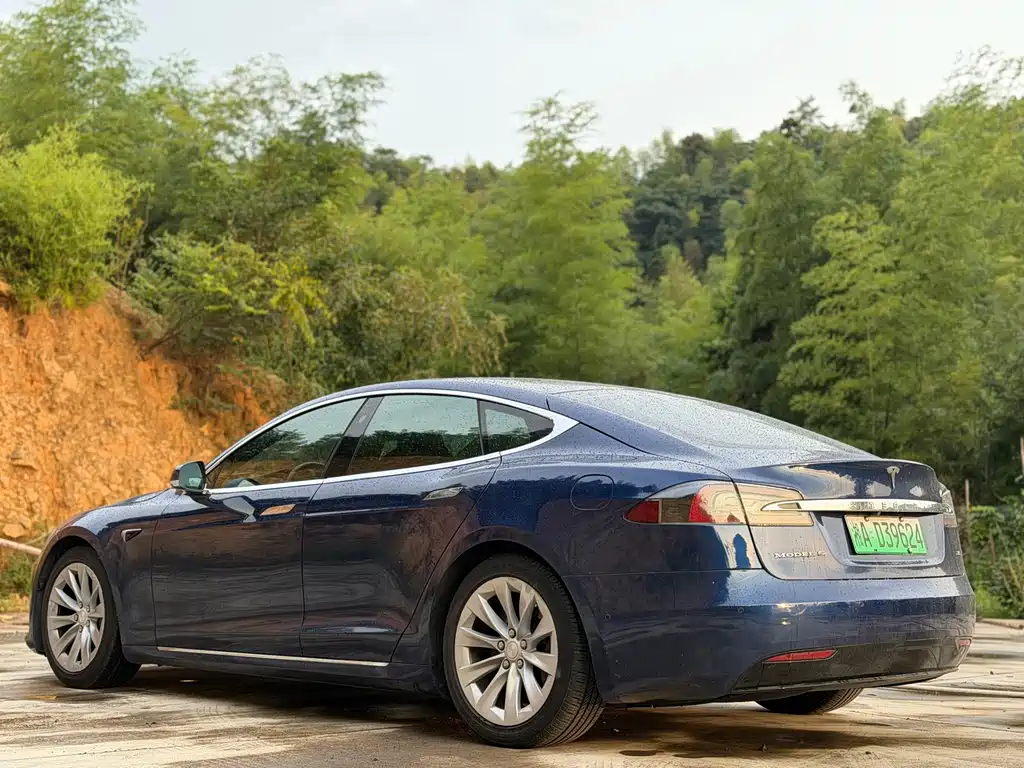 Tesla Model S — миниатюра 3