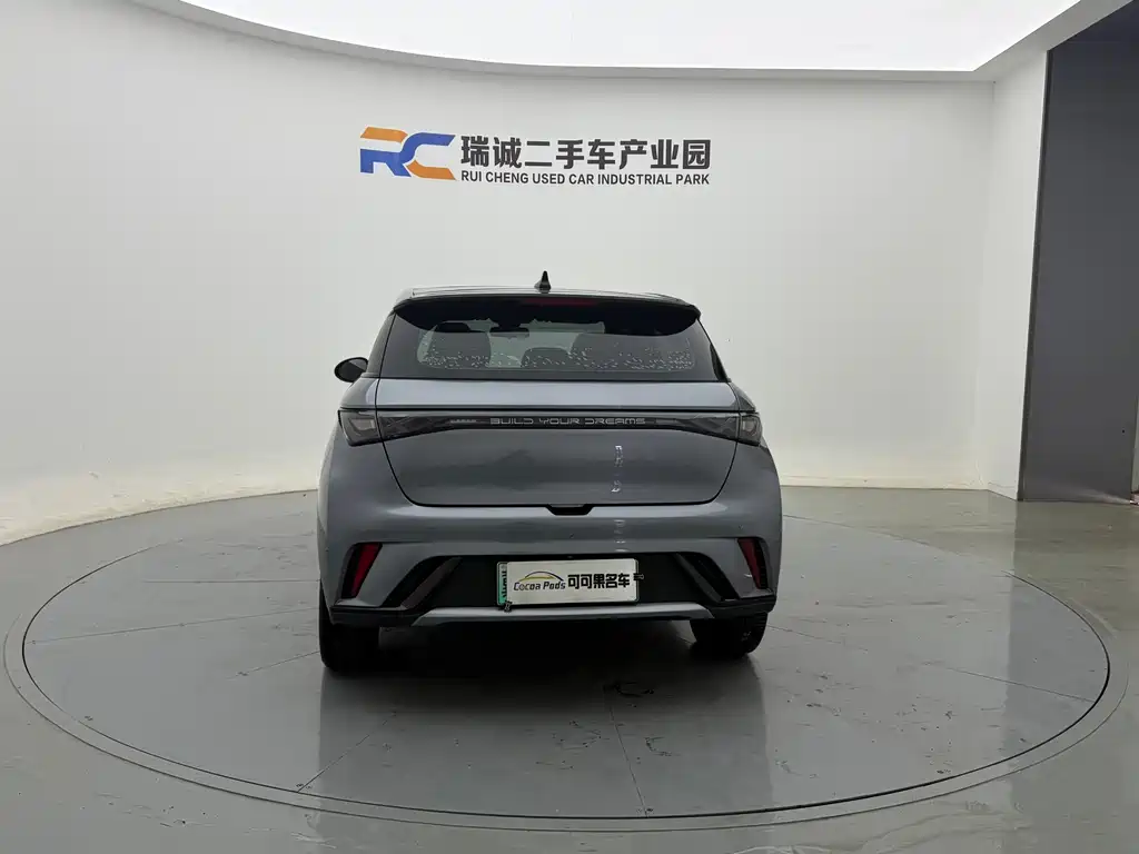 BYD Dolphin — миниатюра 5
