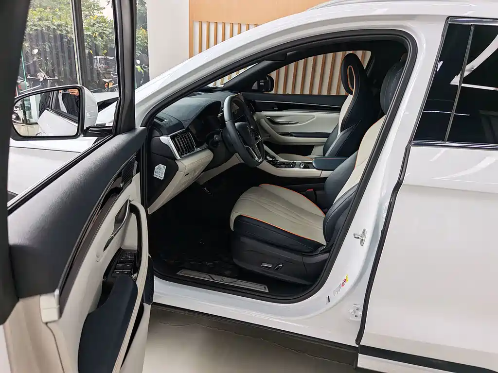 BYD PLUS New Energy — миниатюра 6