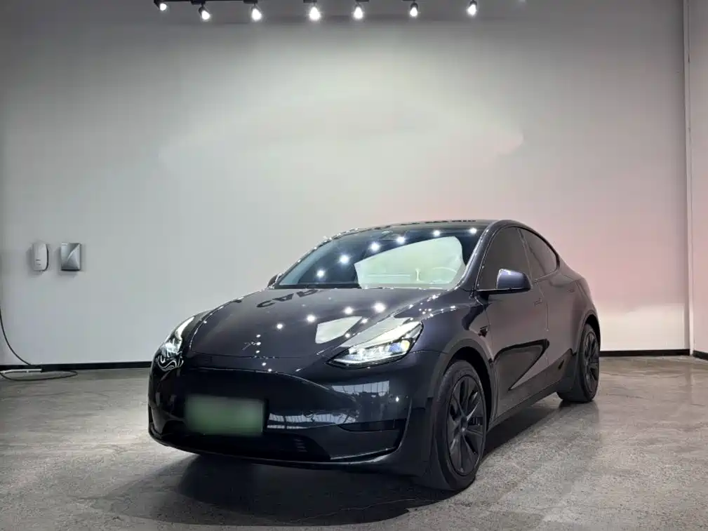 Tesla Model Y — миниатюра 3