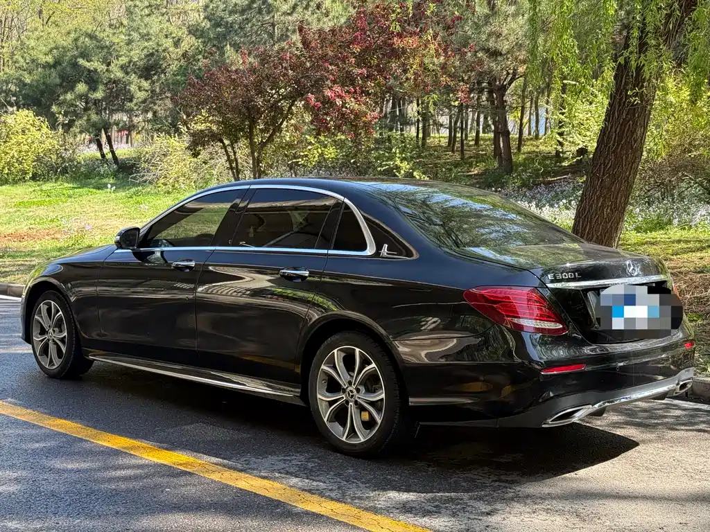 Mercedes-Benz E-Class E 2019 E 300 L Sport Fashion
