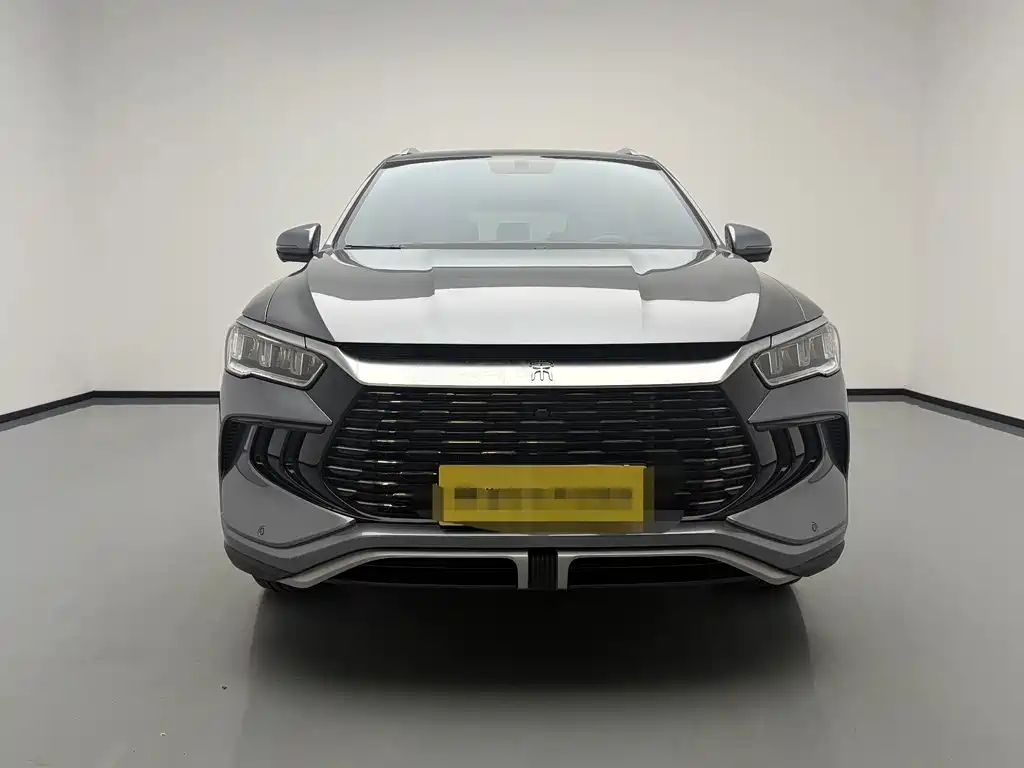 BYD Pro New Energy — миниатюра 2