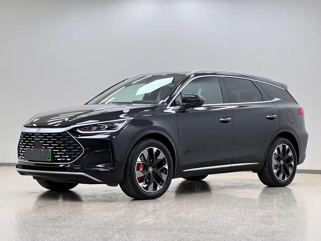Byd Tang New Energy 2024