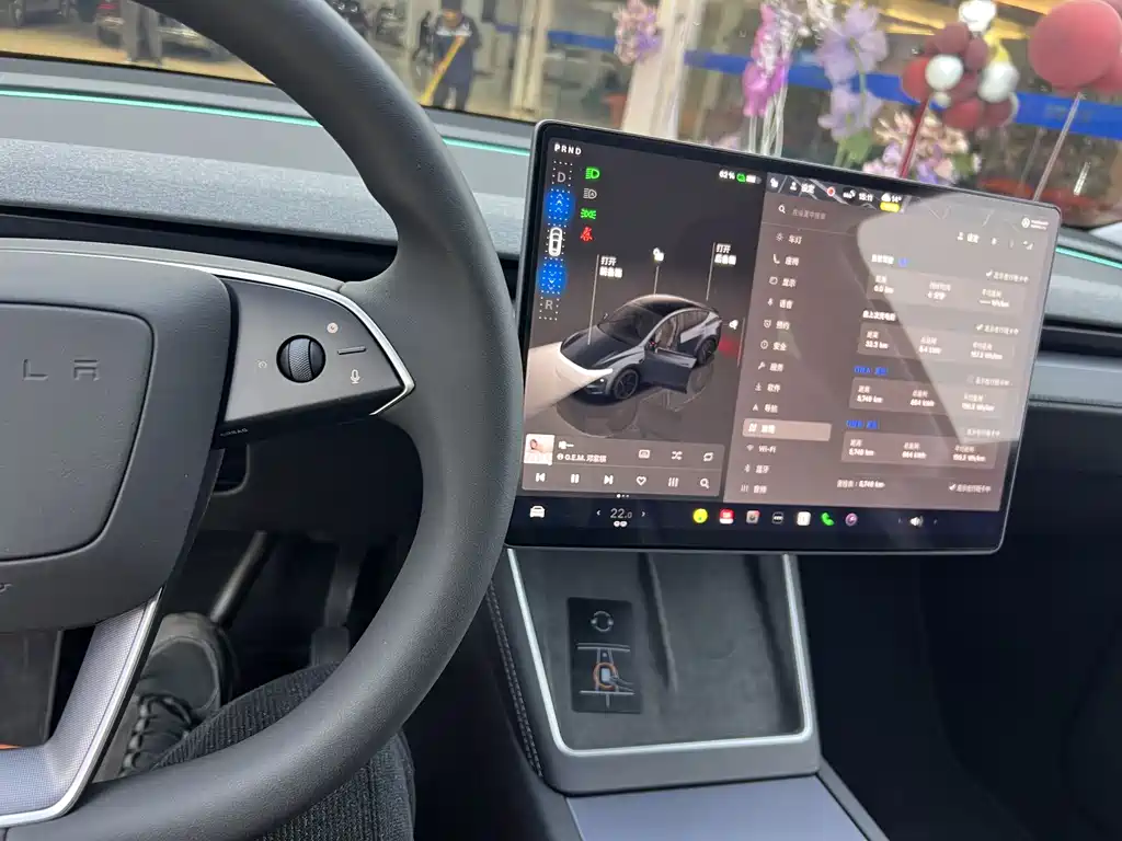 TESLA MODEL Y