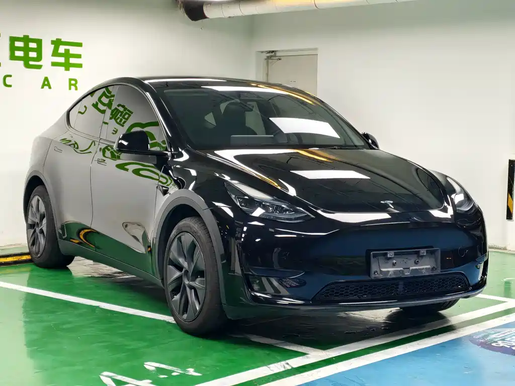 Tesla Model Y — миниатюра 5