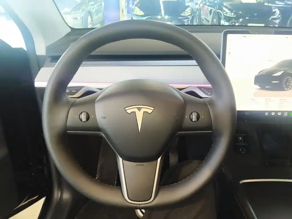 Tesla Model Y — миниатюра 11