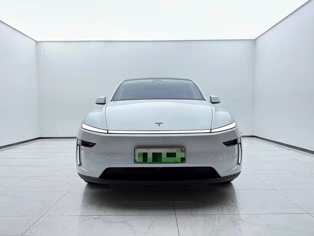 Tesla Model Y L — миниатюра 2