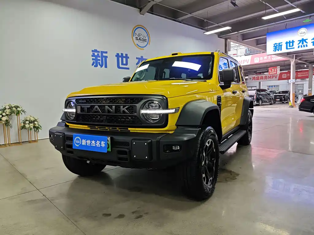 Tank Tank 300L New Energy