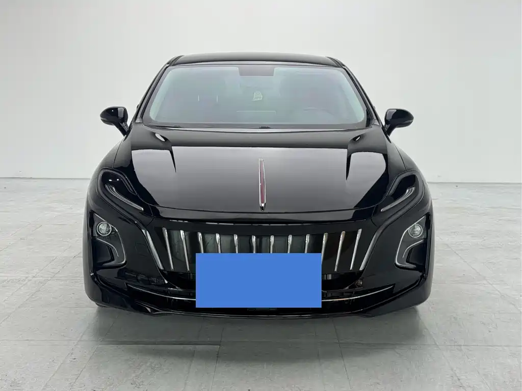 Hongqi Hongqi E-QM5