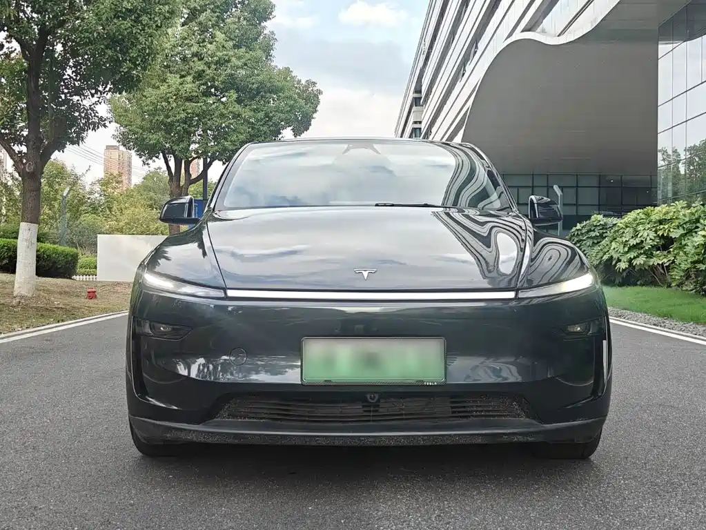 Tesla Model Y — миниатюра 2