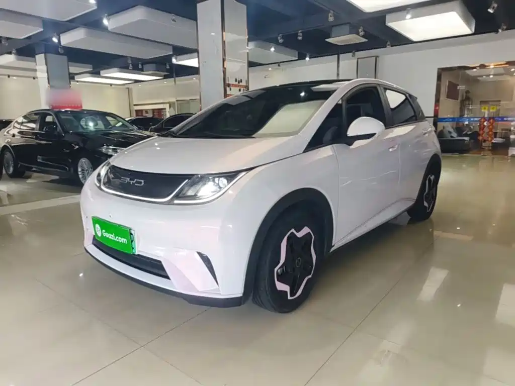 2022 BYD Dolphin - zdjęcie 1 z 25