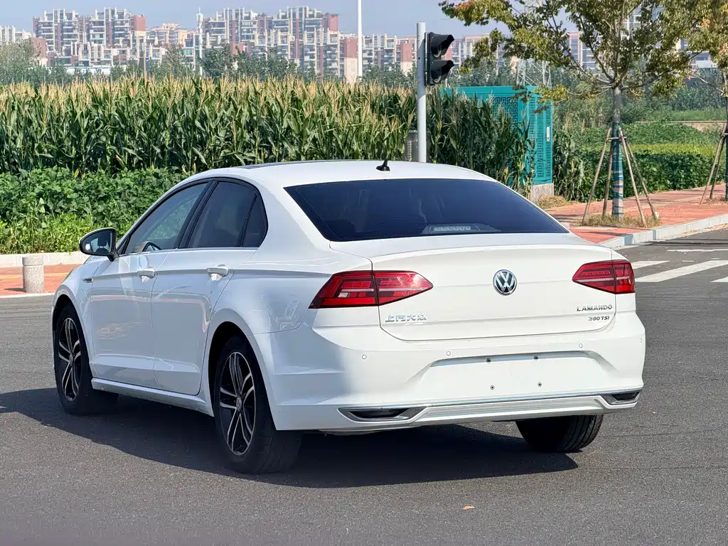 Volkswagen Lamando — миниатюра 9