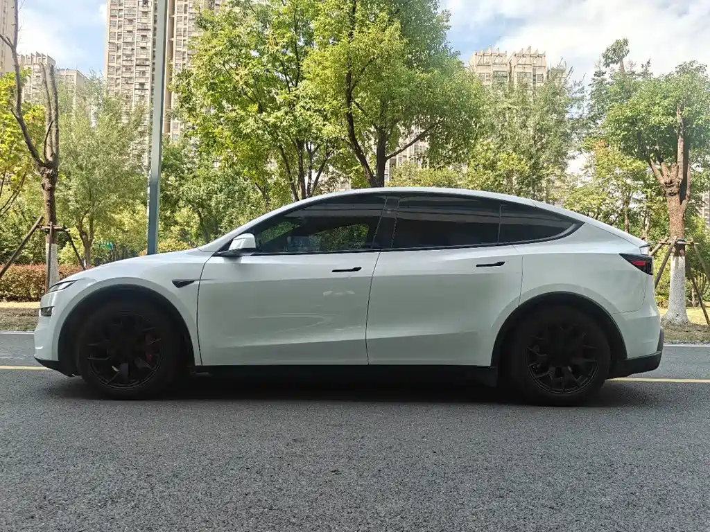 Tesla Model Y L — миниатюра 7