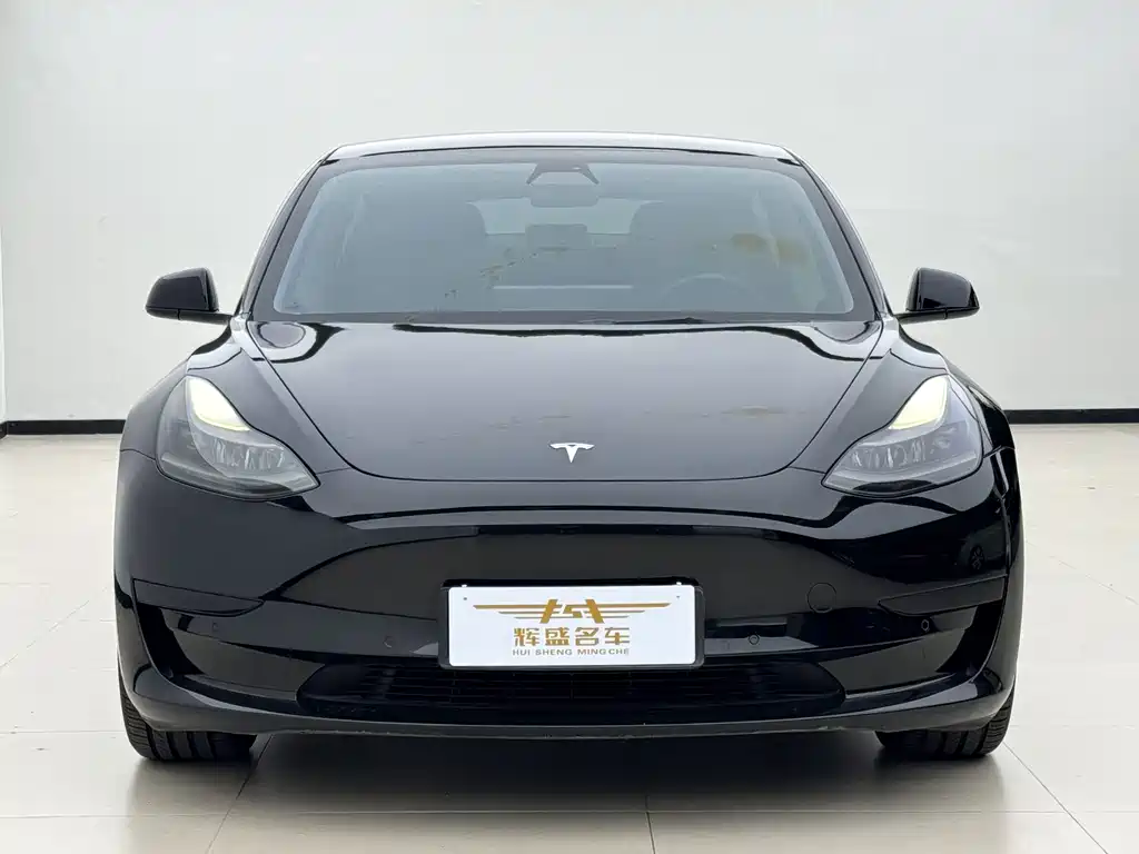 Tesla Model 3 — миниатюра 8