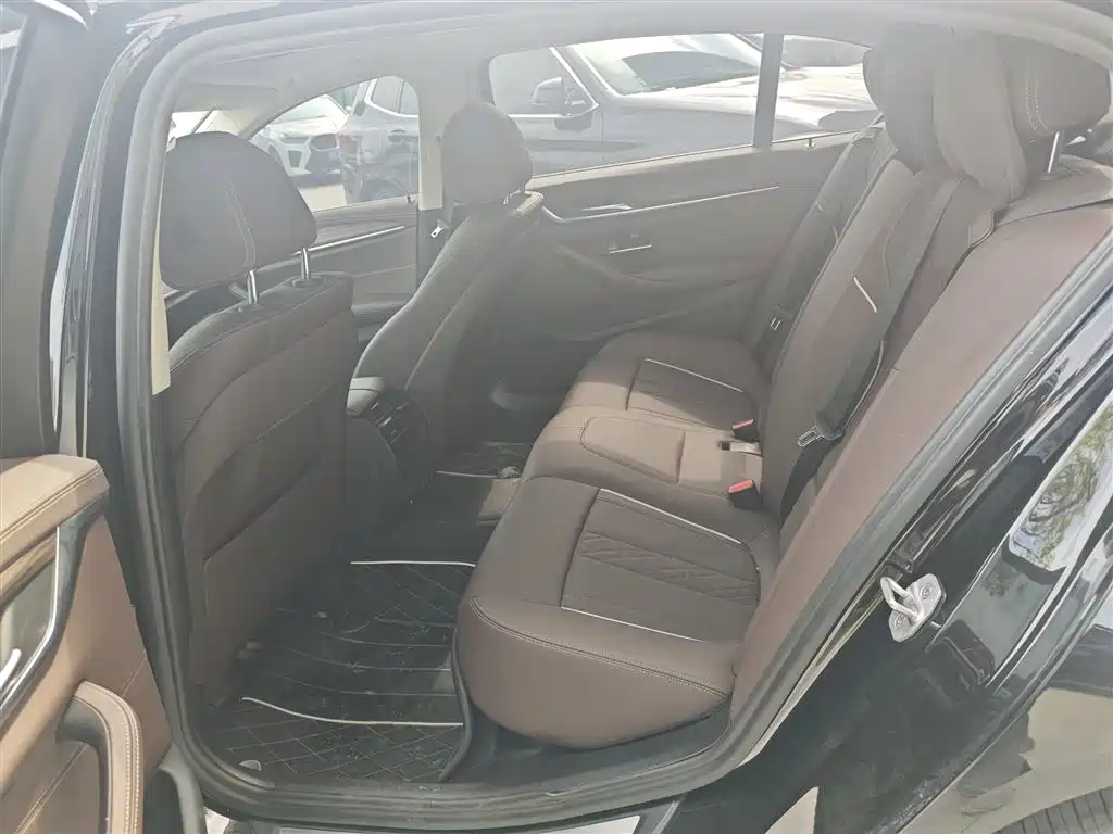 BMW 5 Series 5 2021 530Li Lead Luxury