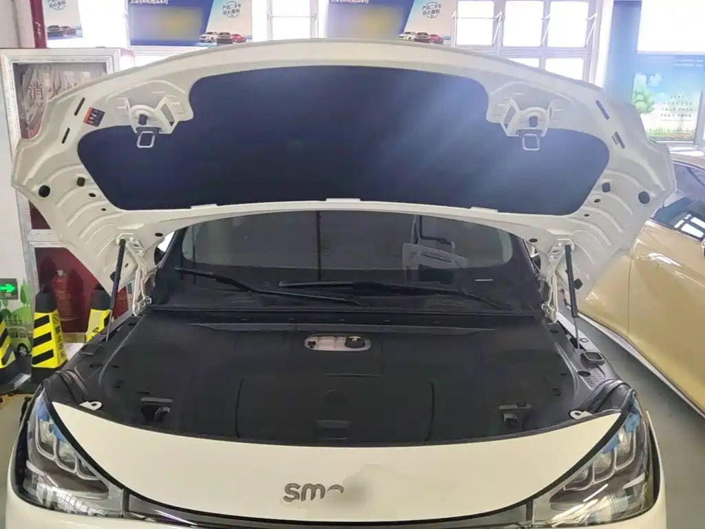 smart Smart #1 — миниатюра 20