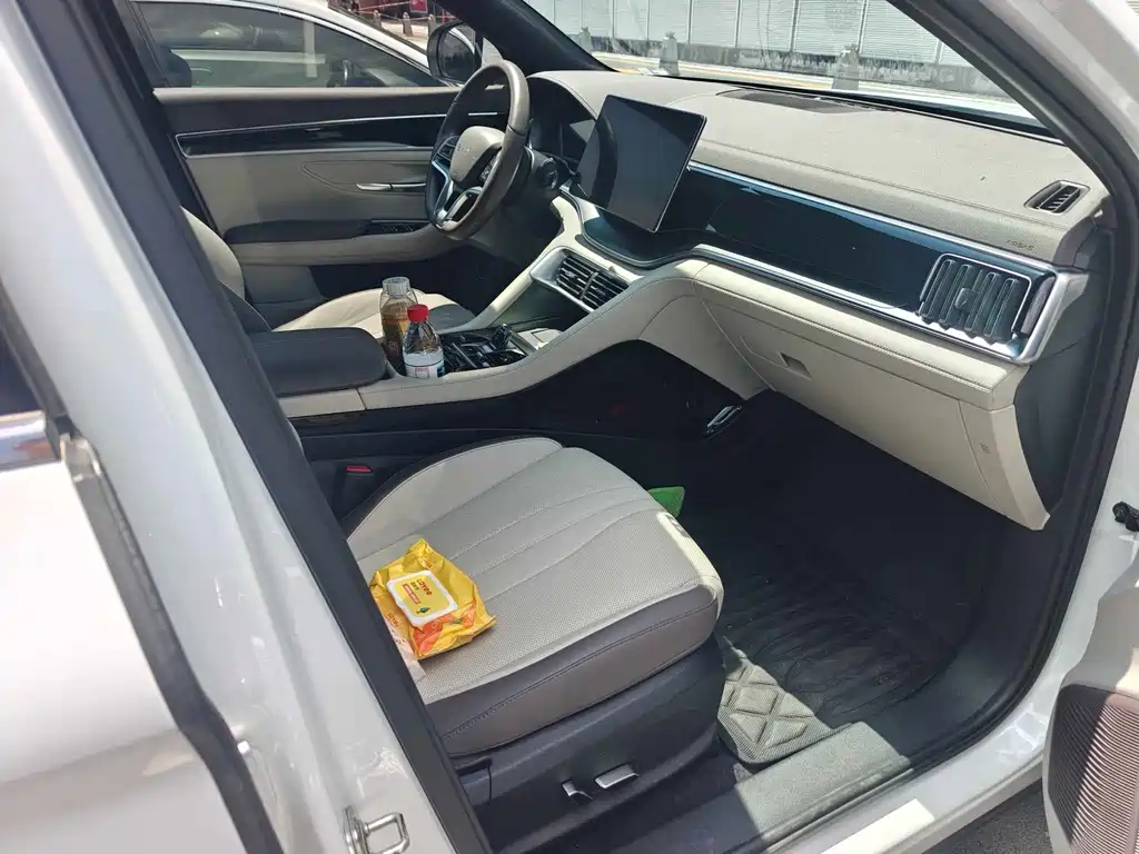 BYD PLUS New Energy — миниатюра 6