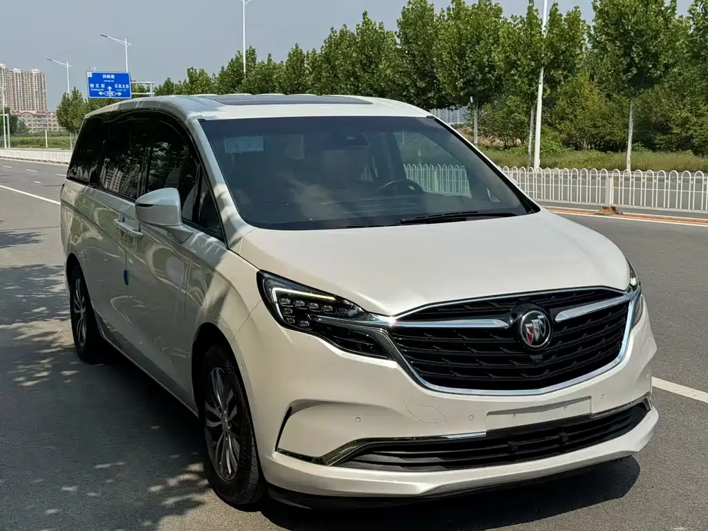 Buick GL8 — миниатюра 2