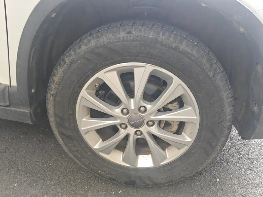 Haval H6 — миниатюра 8