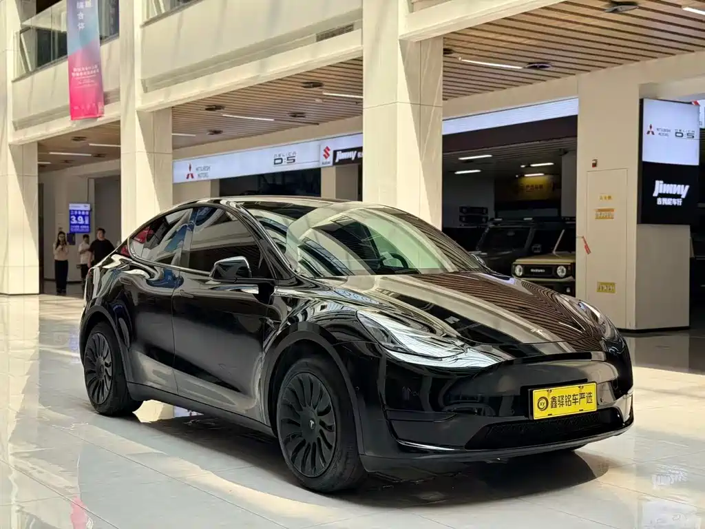 Tesla Model Y — миниатюра 3