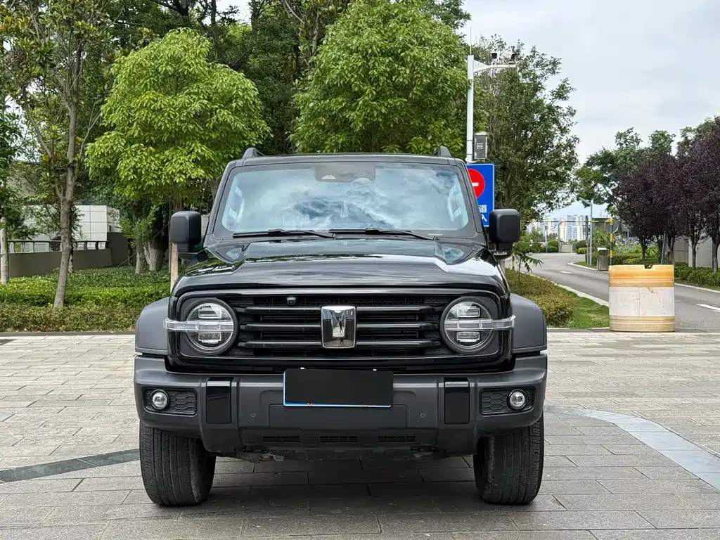 Tank 300 2.0T Gasoline Conqueror